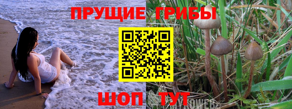 Тобольск  Псилоцибиновые грибы мицелий  Вход с VPN 