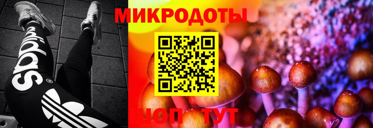 Псилоцибиновые грибы MAGIC MUSHROOMS Тобольск